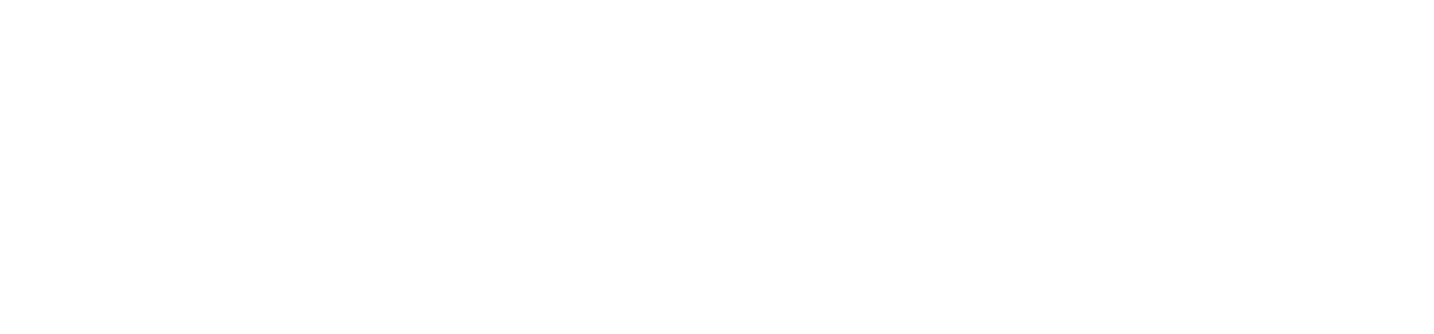 Velocity-Logo